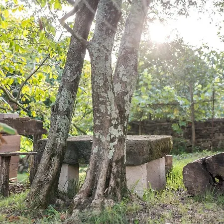 Βίλα Seki Sest *